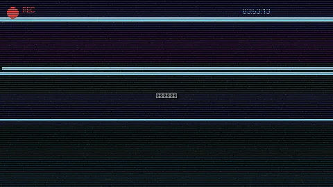 周末随拍记录 - 郑爽井柏然 原创视频